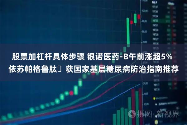 股票加杠杆具体步骤 银诺医药-B午前涨超5% 依苏帕格鲁肽ɑ获国家基层糖尿病防治指南推荐