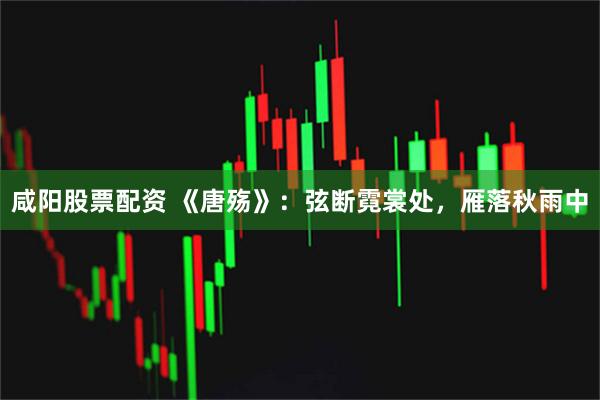 咸阳股票配资 《唐殇》：弦断霓裳处，雁落秋雨中